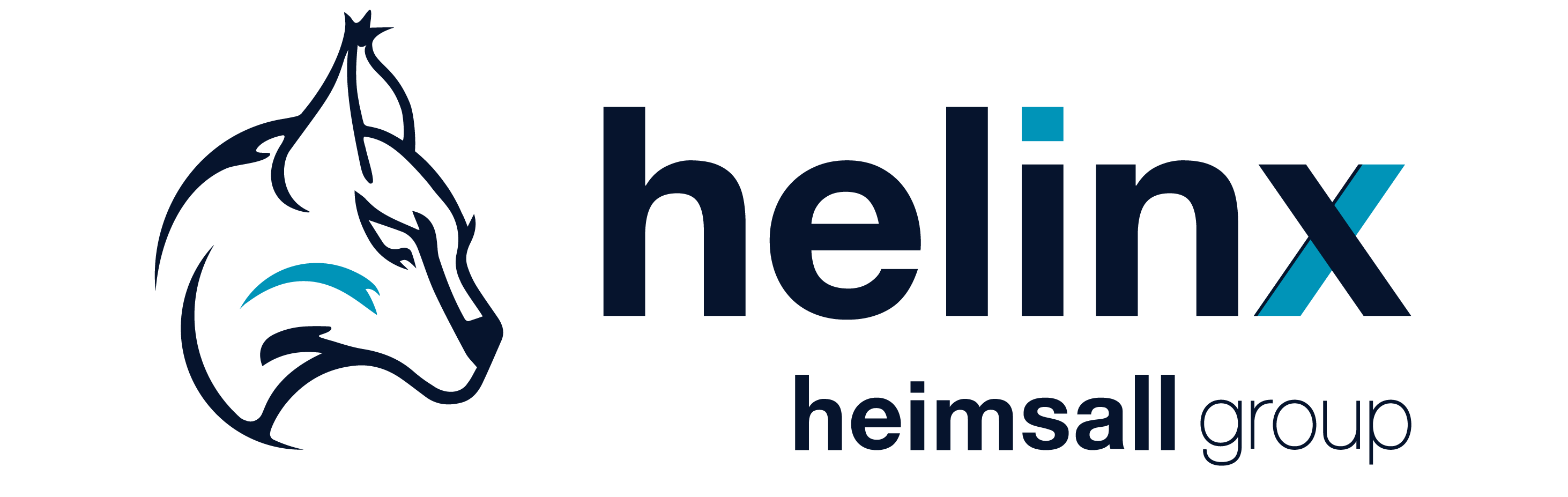 Helinx (Heimsall Group)