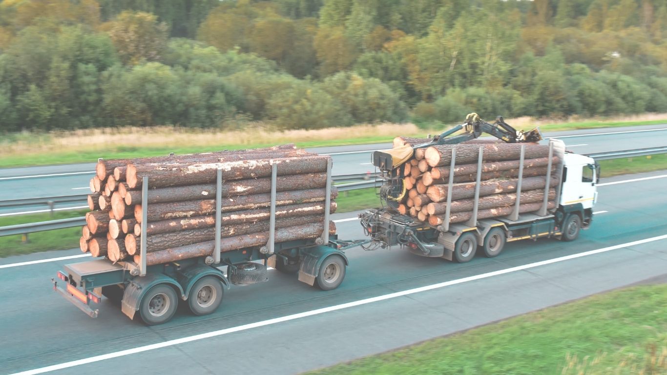 camion_madera_ForestLinx camion_madera_ForestLinx