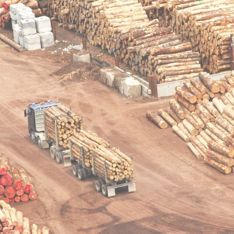 deposito-madera_ForestLinx deposito-madera_ForestLinx