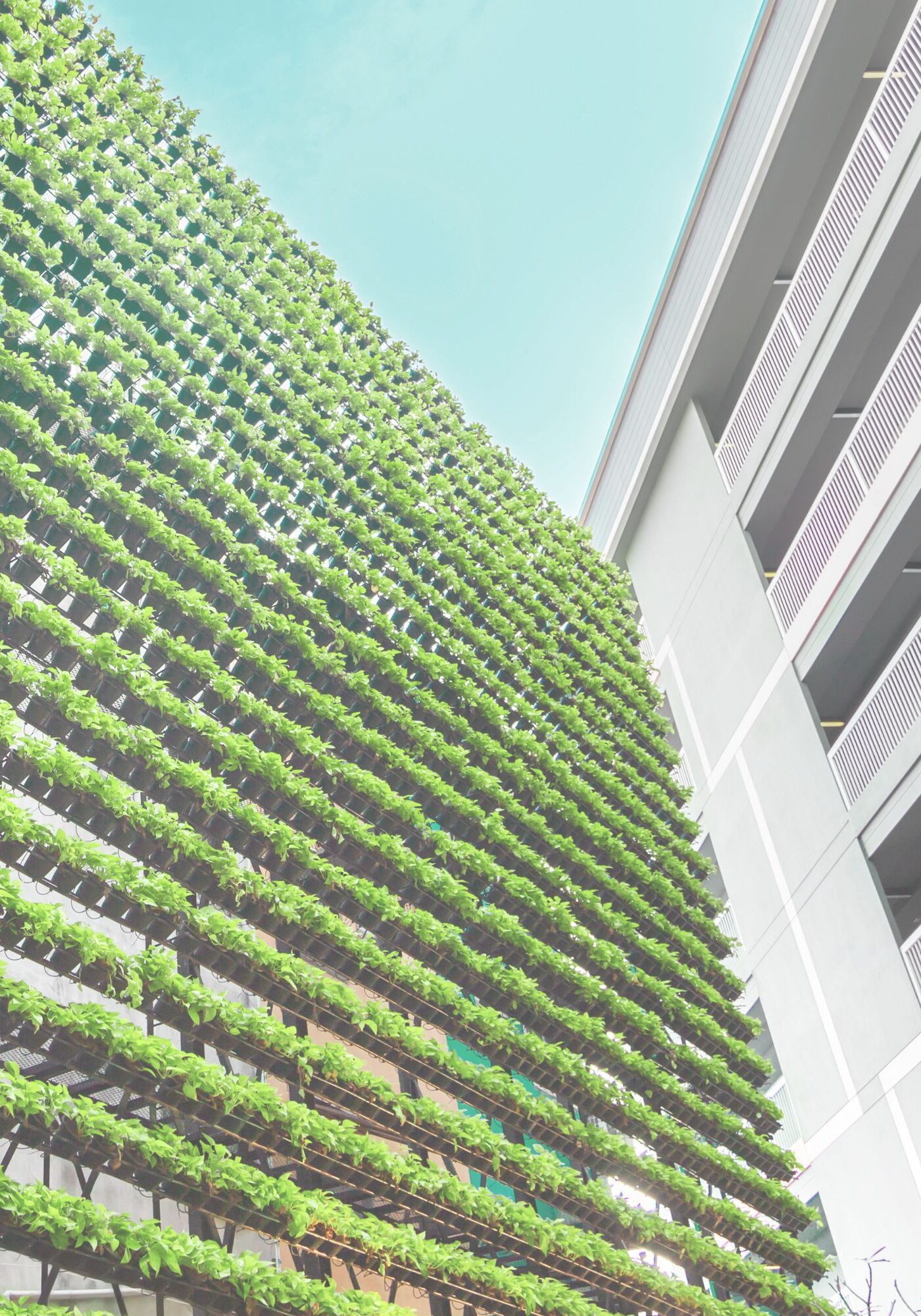 jardin-vertical_helinx jardin-vertical_helinx